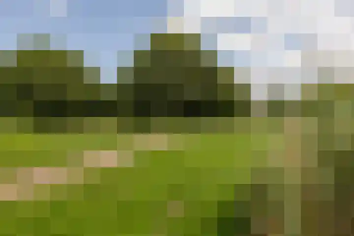 Joop den Uyllaan 11 Schiedam thumbnail 56