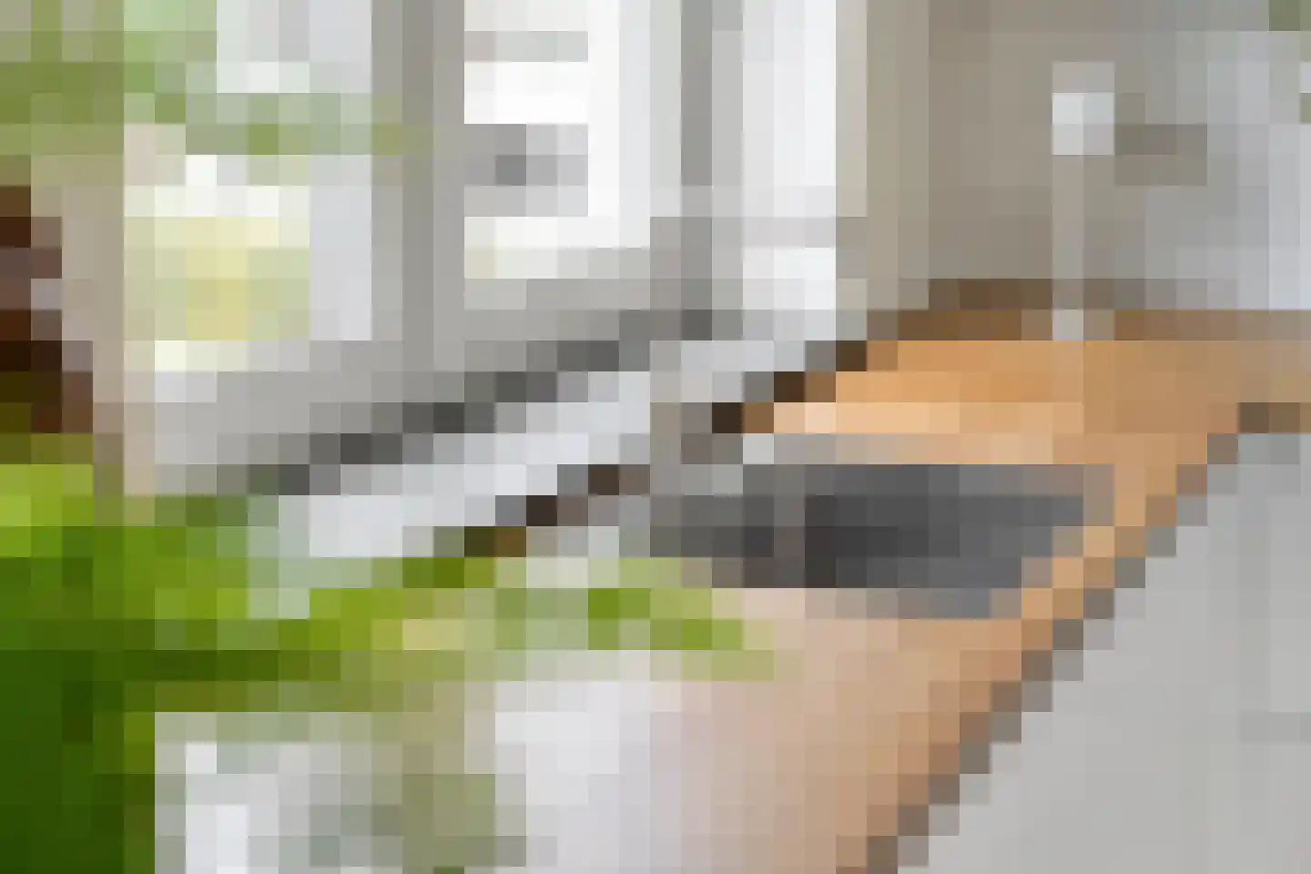 Joop den Uyllaan 111 Schiedam thumbnail 19