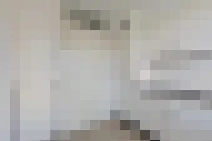 Joop den Uyllaan 113 Schiedam thumbnail 21