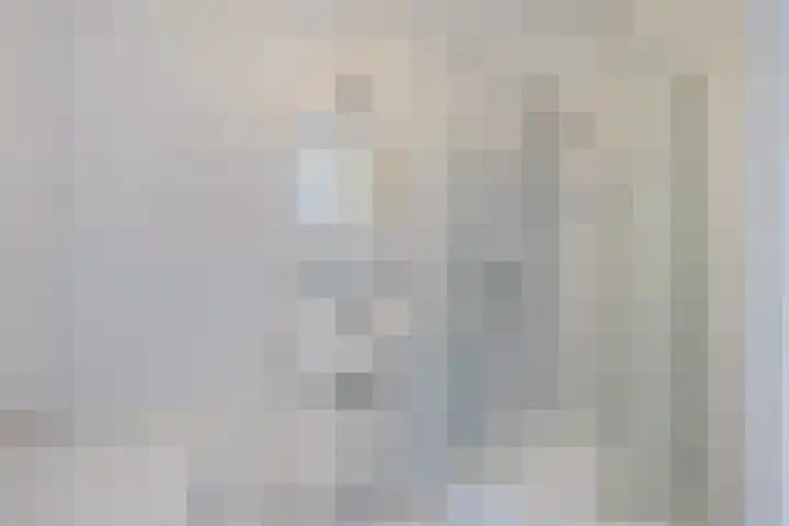 Joop den Uyllaan 113 Schiedam thumbnail 26