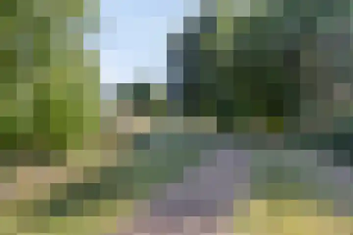 Joop den Uyllaan 113 Schiedam thumbnail 33