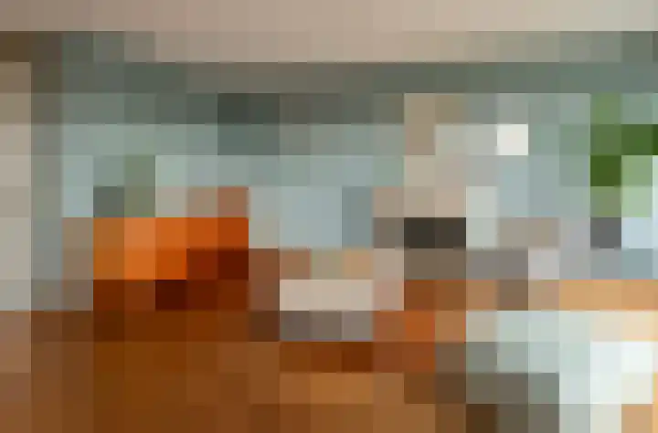 Joop den Uyllaan 141 Schiedam thumbnail 15