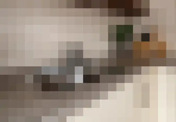 Joop den Uyllaan 141 Schiedam thumbnail 23