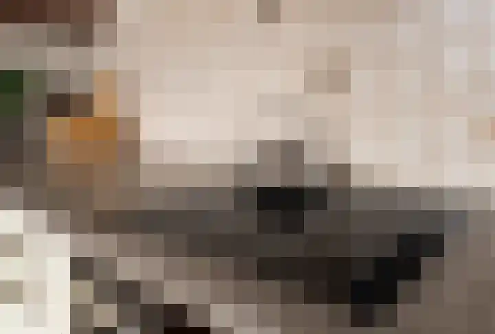 Joop den Uyllaan 141 Schiedam thumbnail 24