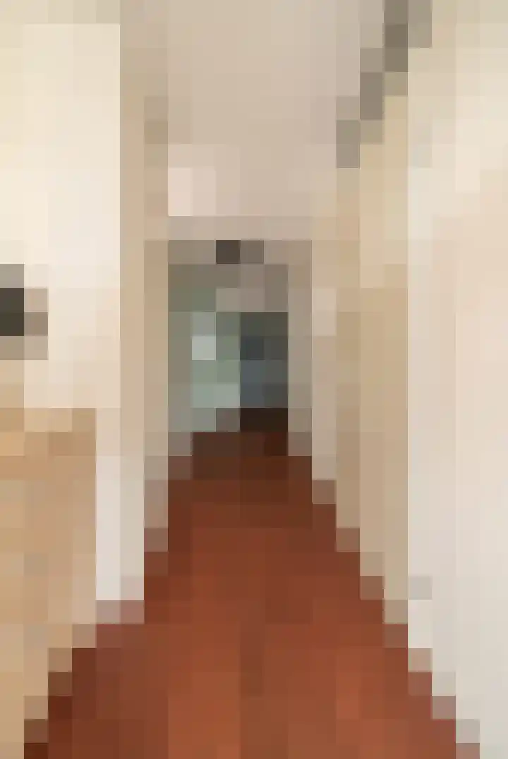 Joop den Uyllaan 141 Schiedam thumbnail 36