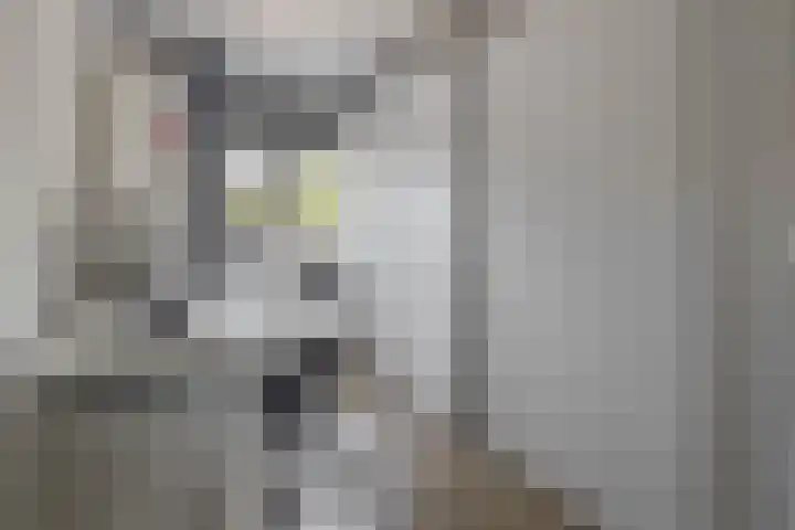 Joop den Uyllaan 21 Veendam thumbnail 15