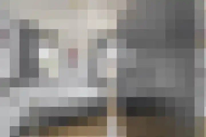 Joop den Uyllaan 21 Veendam thumbnail 16