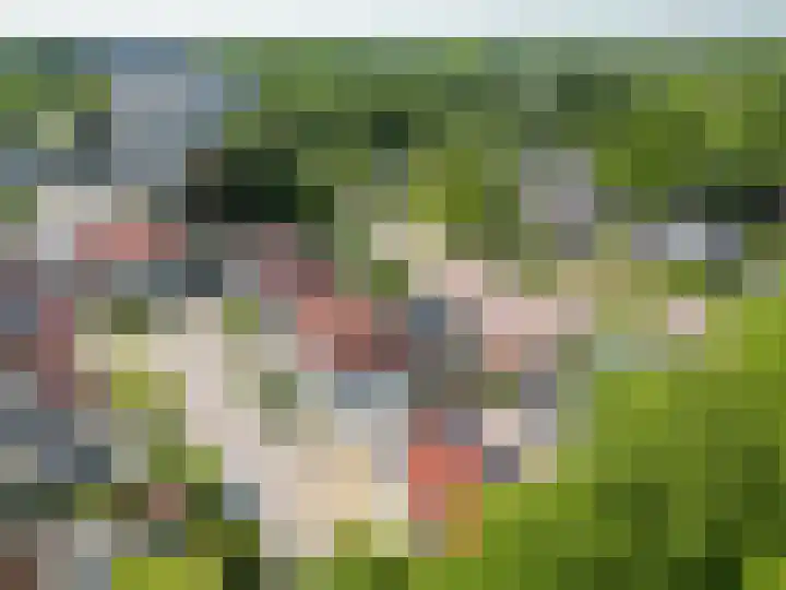 Joop den Uyllaan 21 Veendam thumbnail 33