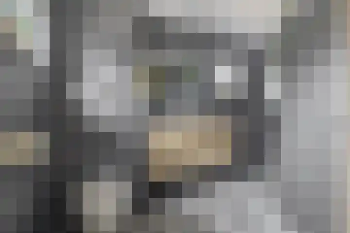 Joop den Uyllaan 21 Veendam thumbnail 4