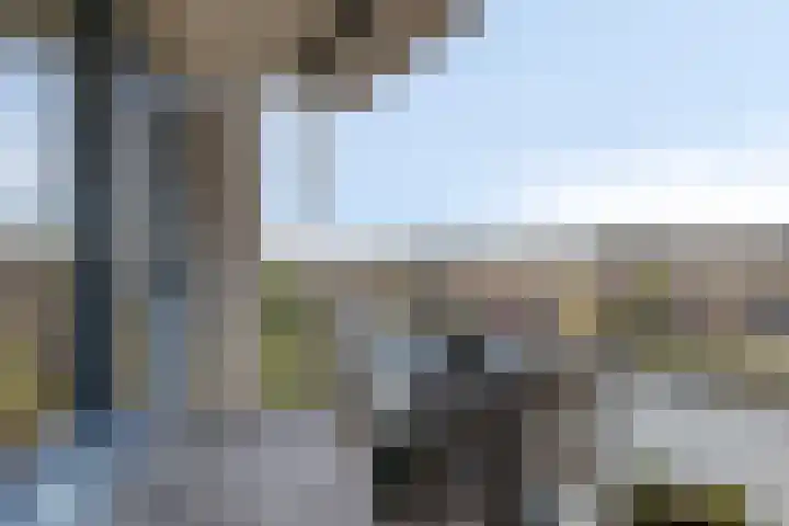 Joop den Uyllaan 33 Schiedam thumbnail 15