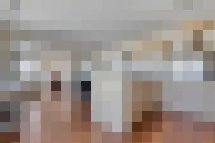Joop den Uyllaan 33 Schiedam thumbnail 16