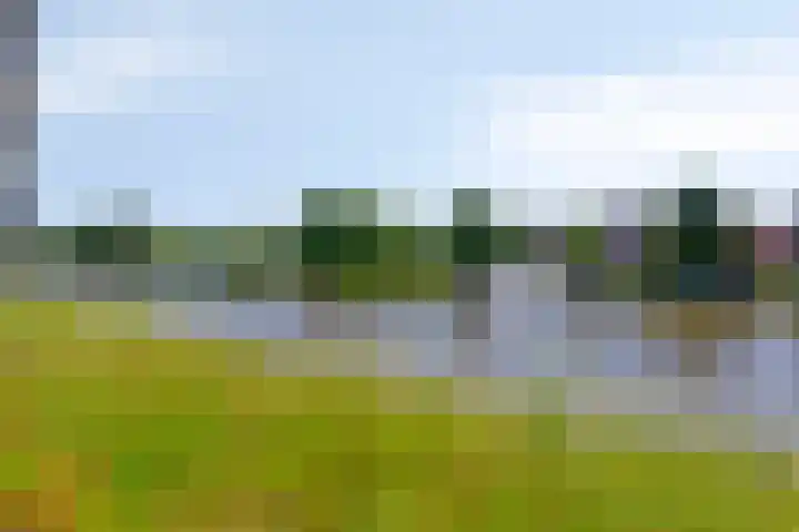Joop den Uyllaan 33 Schiedam thumbnail 31