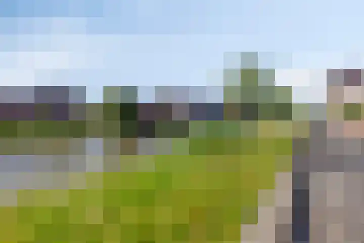 Joop den Uyllaan 33 Schiedam thumbnail 32