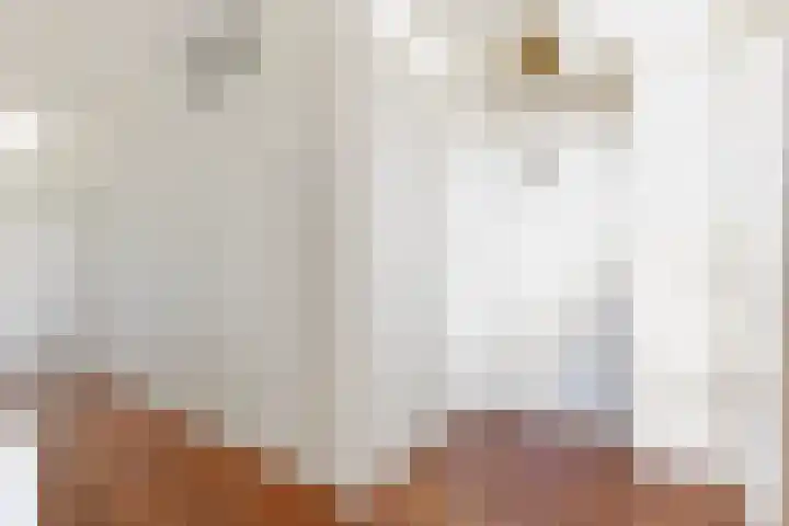 Joop den Uyllaan 33 Schiedam thumbnail 6