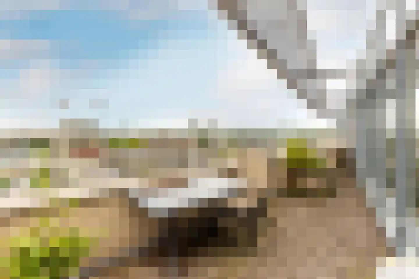 Joop den Uyllaan 47 Schiedam thumbnail 12
