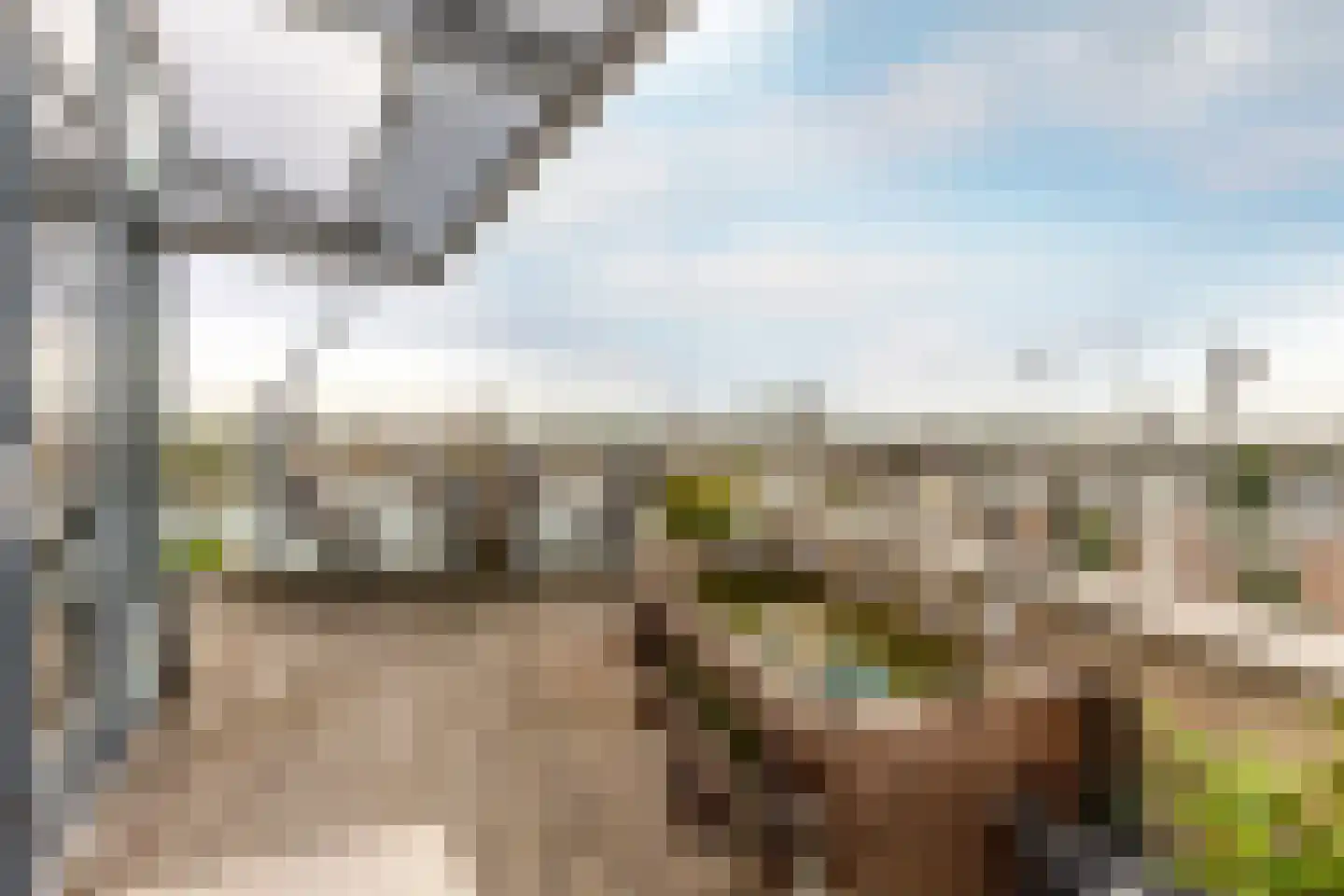 Joop den Uyllaan 47 Schiedam thumbnail 13