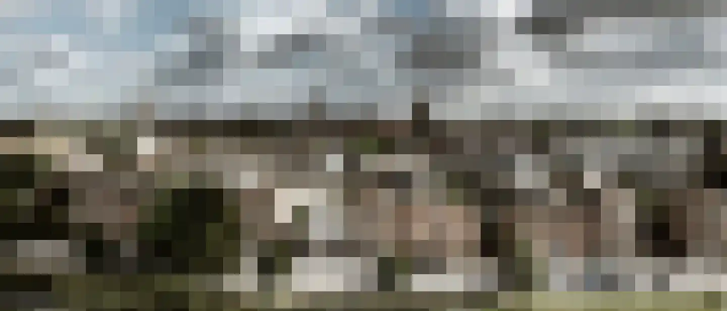 Joop den Uyllaan 47 Schiedam thumbnail 14