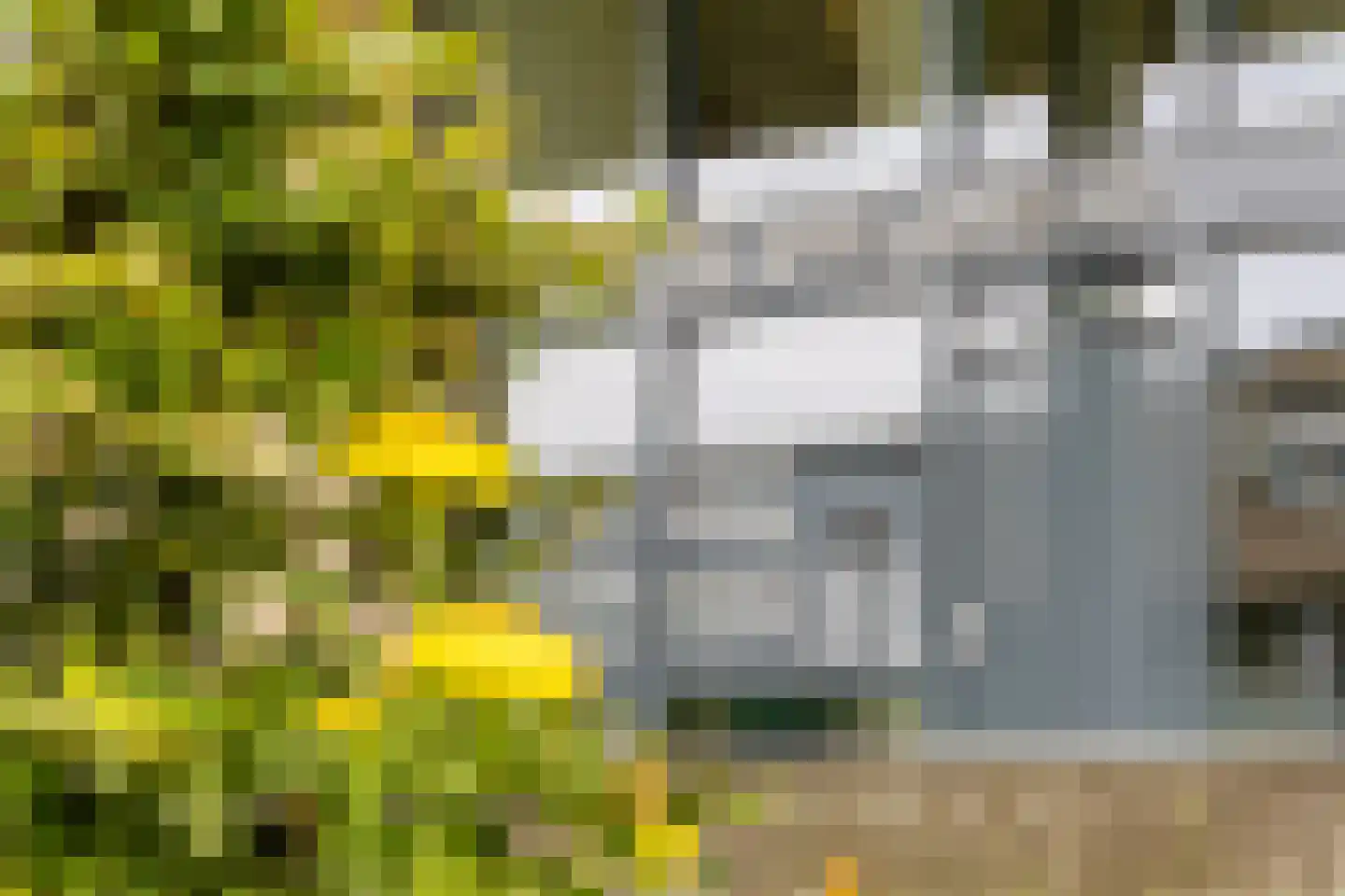 Joop den Uyllaan 47 Schiedam thumbnail 29
