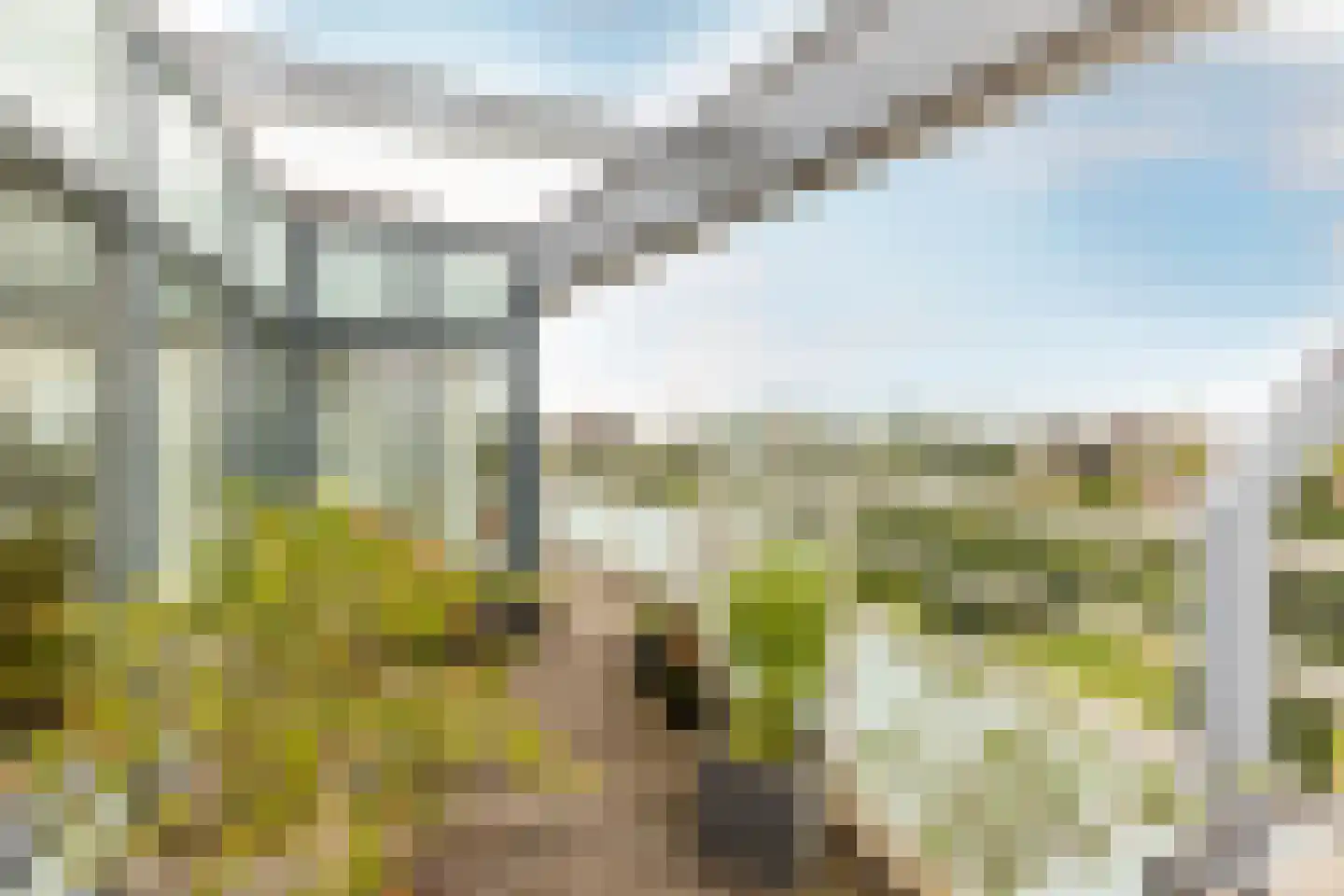 Joop den Uyllaan 47 Schiedam thumbnail 9