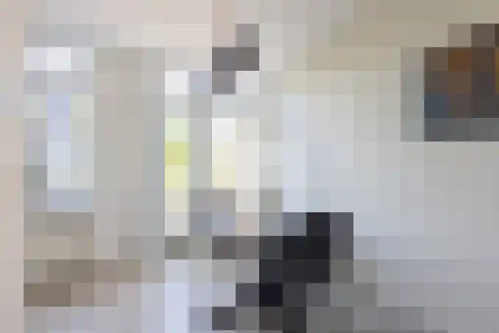 Joop den Uyllaan 5 Veendam thumbnail 10