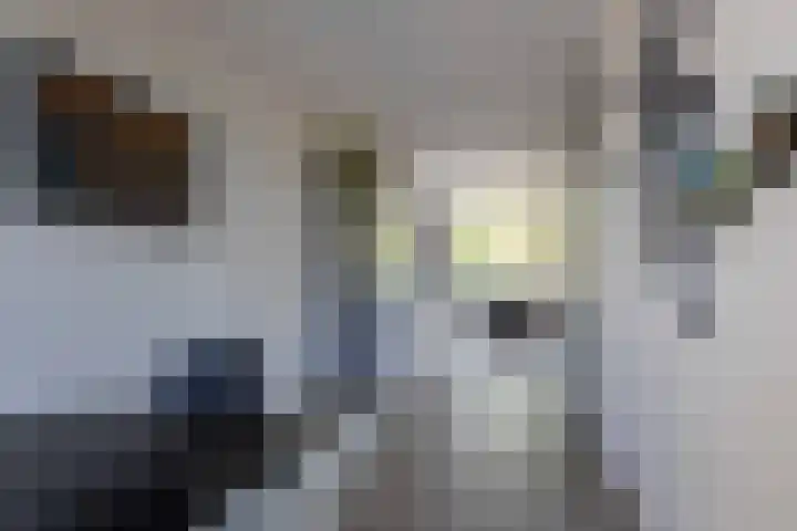 Joop den Uyllaan 5 Veendam thumbnail 11
