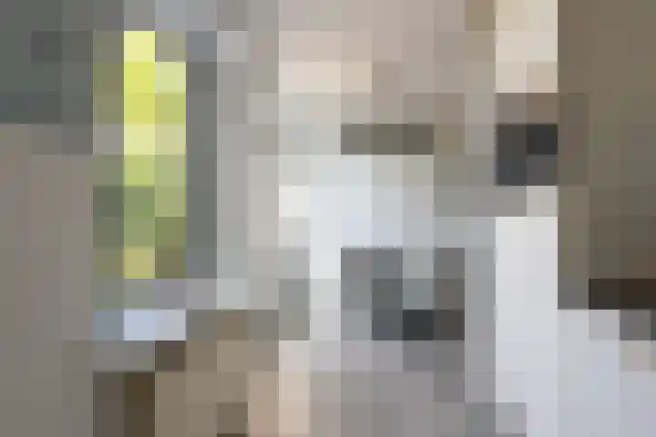 Joop den Uyllaan 5 Veendam thumbnail 12