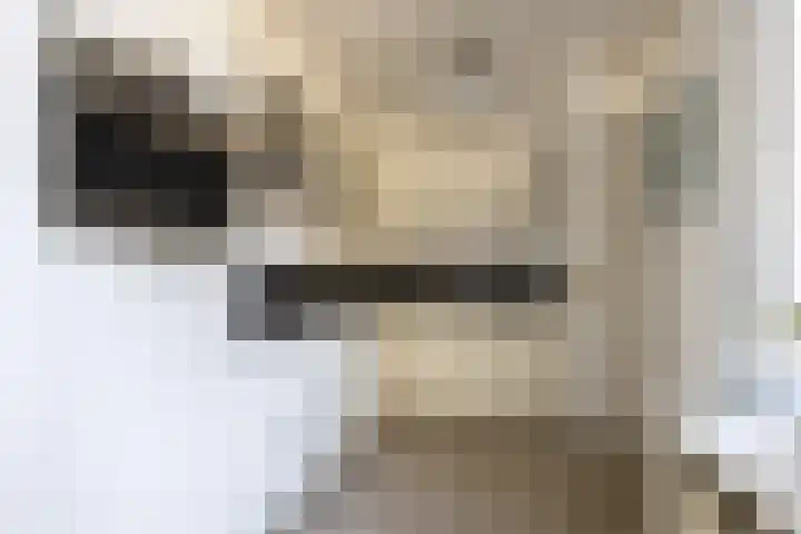 Joop den Uyllaan 5 Veendam thumbnail 13
