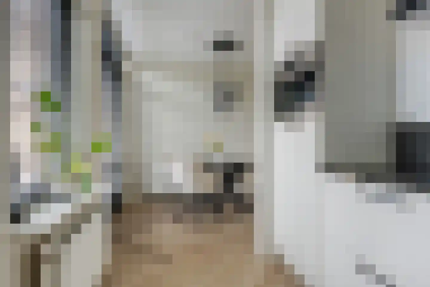Joop den Uyllaan 5 Veendam thumbnail 14