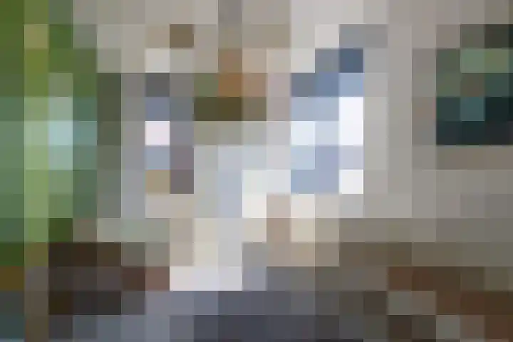 Joop den Uyllaan 5 Veendam thumbnail 19