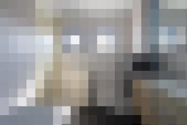 Joop den Uyllaan 5 Veendam thumbnail 22