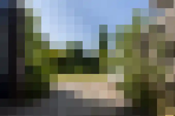 Joop den Uyllaan 5 Veendam thumbnail 24