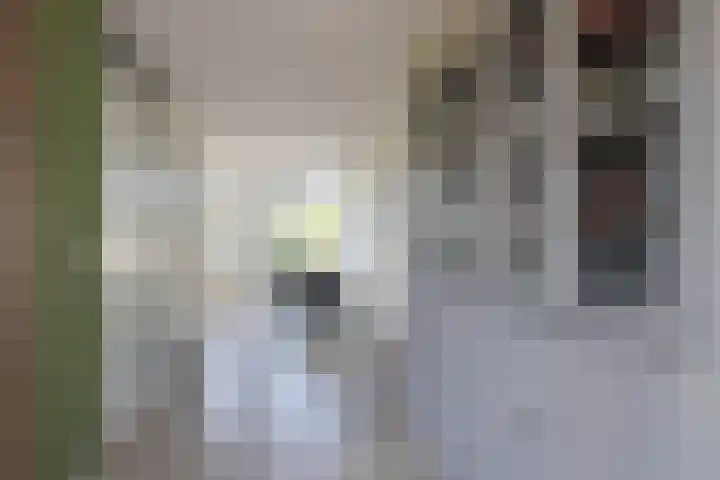 Joop den Uyllaan 5 Veendam thumbnail 9