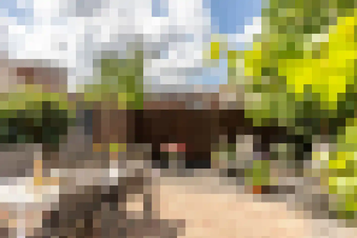 Joop den Uyllaan 68 Schiedam thumbnail 18