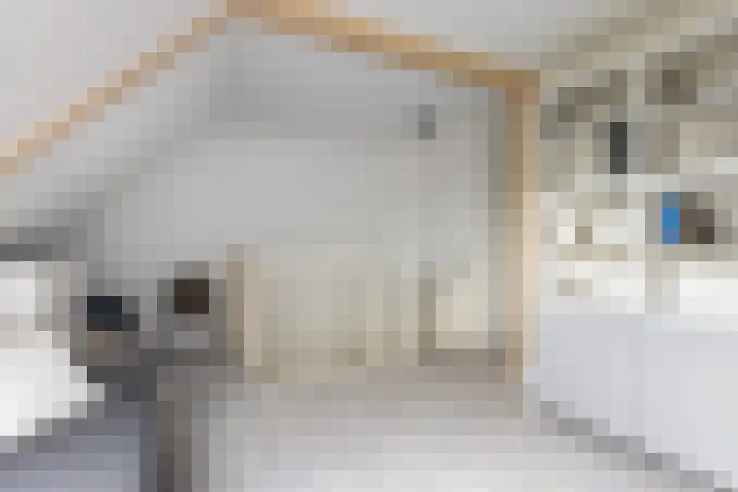 Joop den Uylstraat 11 Dordrecht thumbnail 34