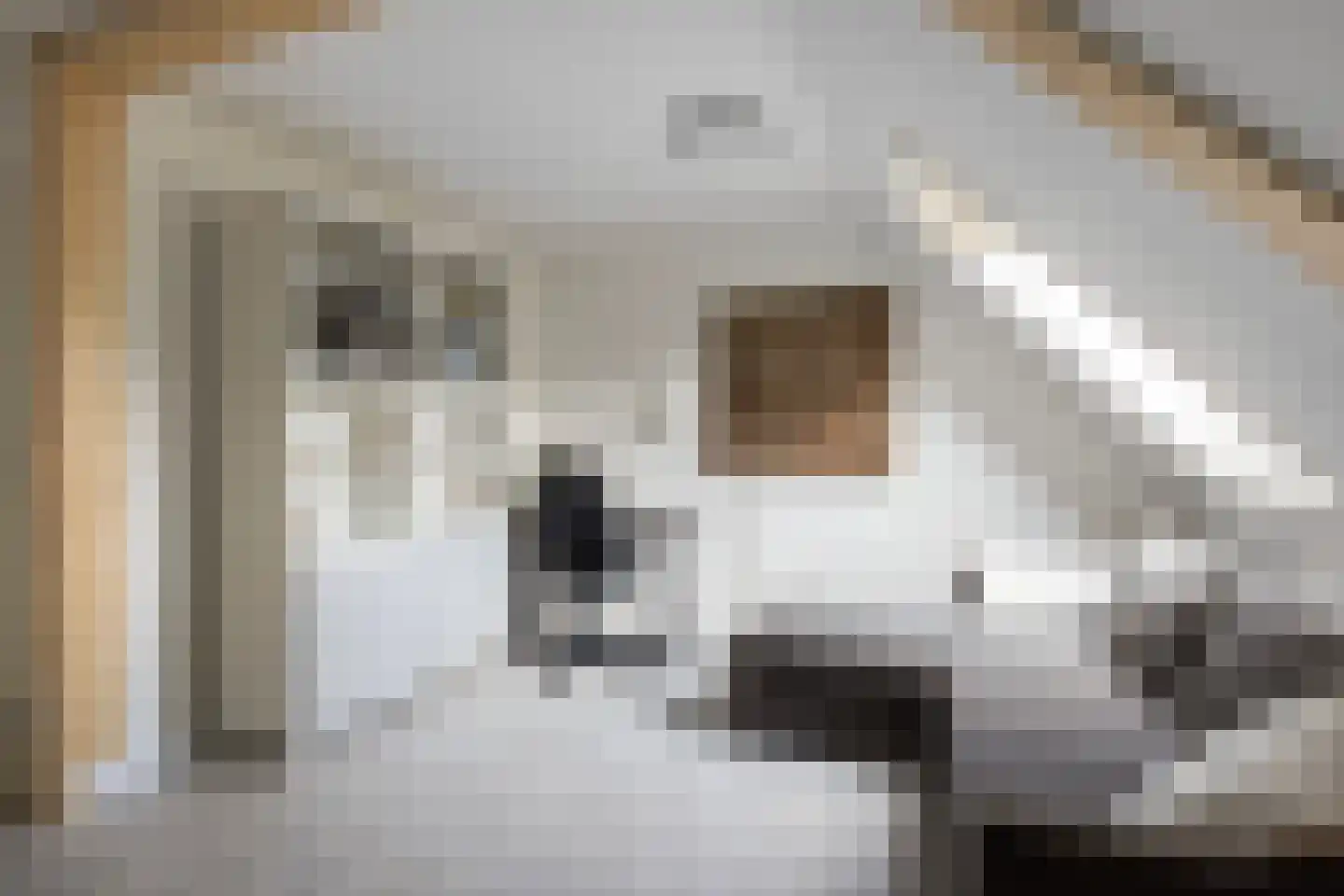 Joop den Uylstraat 11 Dordrecht thumbnail 35