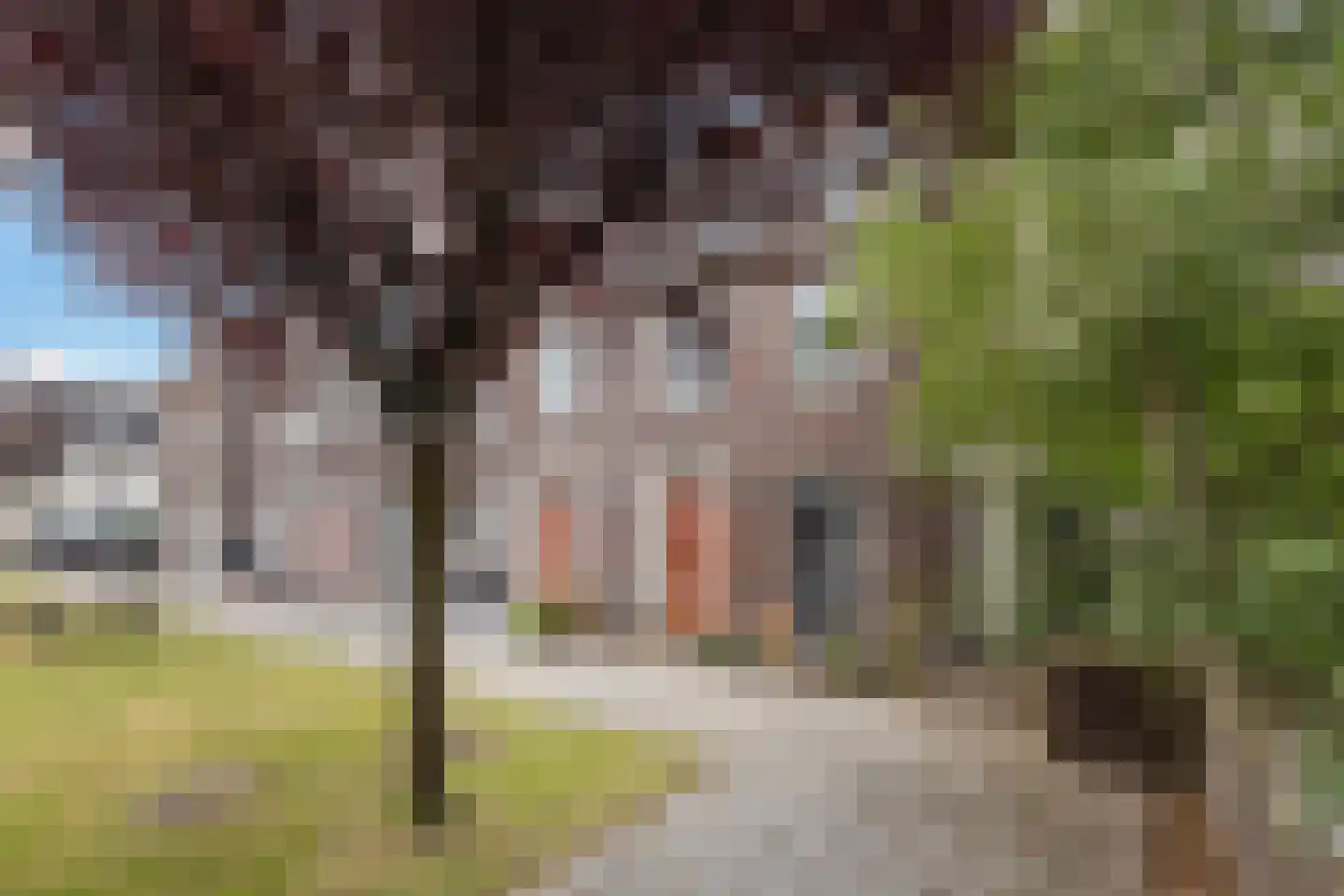 Joop den Uylstraat 11 Dordrecht thumbnail 41