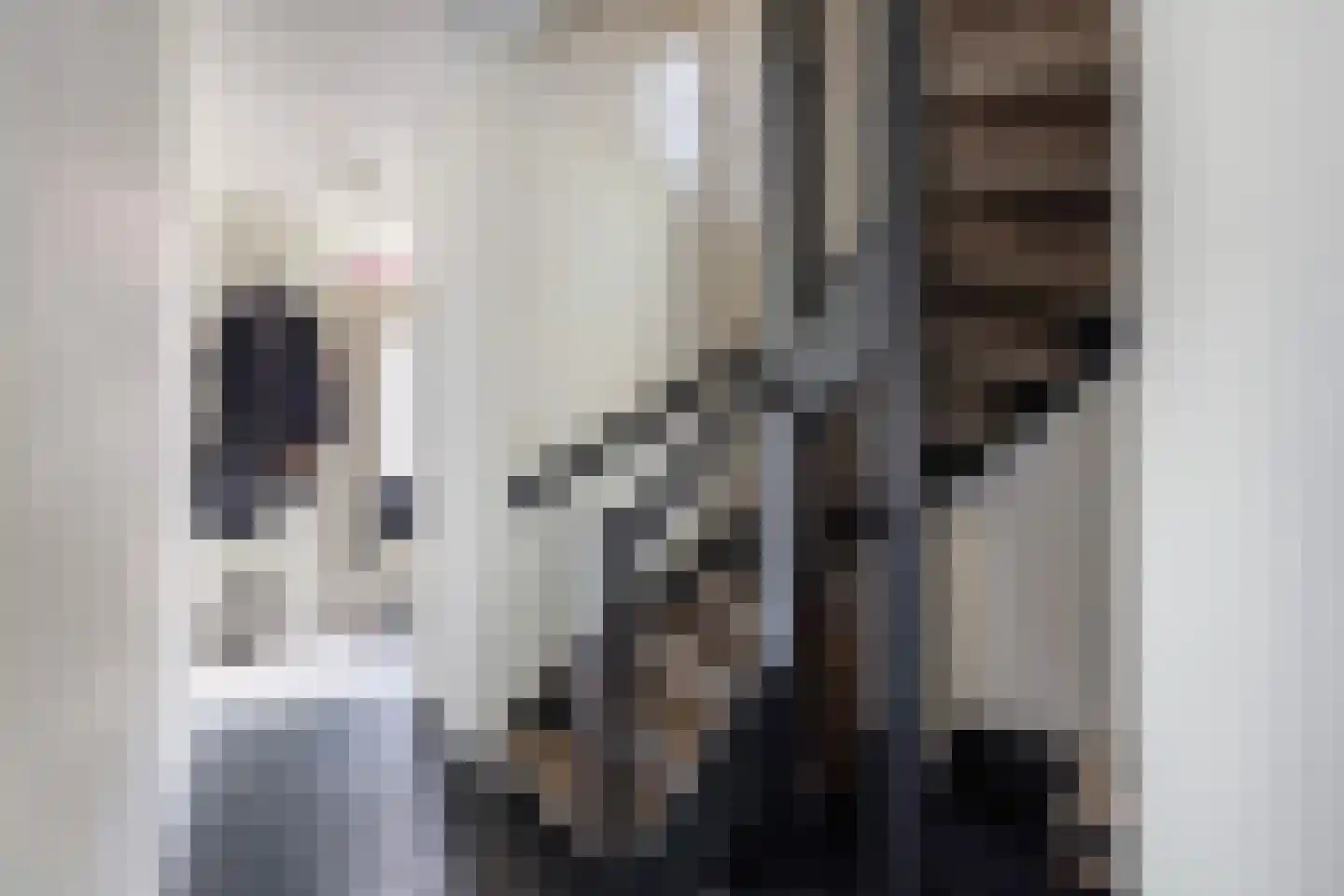 Joop den Uylstraat 11 Dordrecht thumbnail 7
