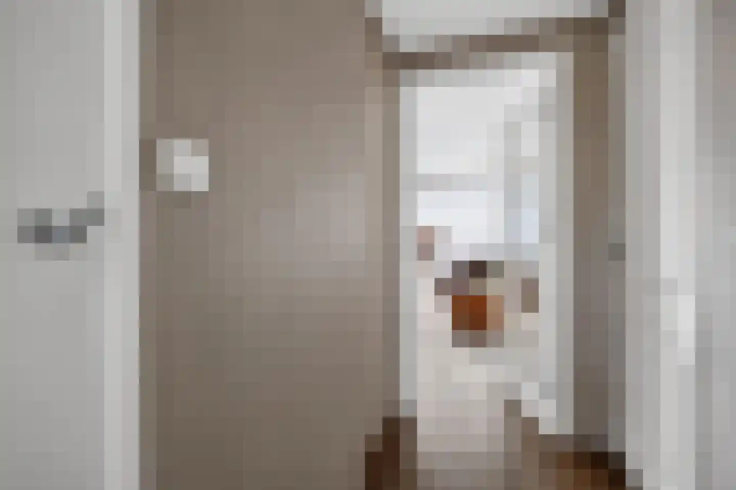 Joop Eijlstraat 7 Amsterdam thumbnail 8