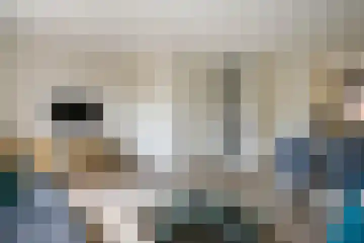 Joop Moesmanpad 7 Rotterdam thumbnail 12