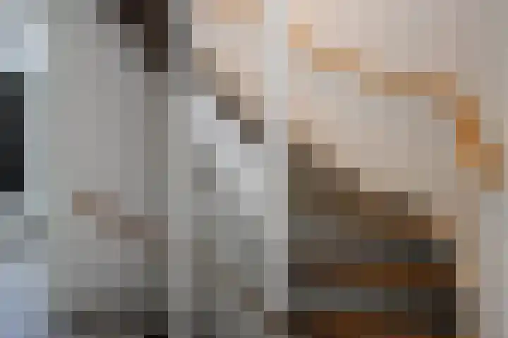 Joop Moesmanpad 7 Rotterdam thumbnail 14