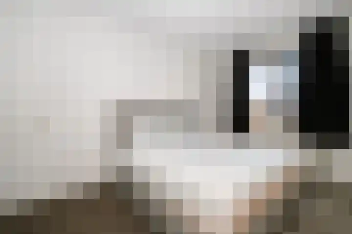 Joop Moesmanpad 7 Rotterdam thumbnail 15