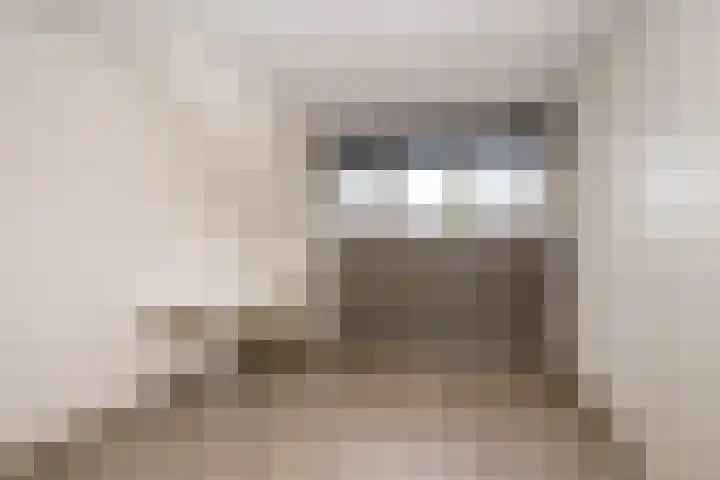 Joop Moesmanpad 7 Rotterdam thumbnail 22
