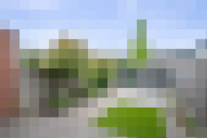 Joop Moesmanpad 7 Rotterdam thumbnail 24