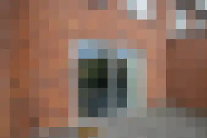 Joop Moesmanpad 7 Rotterdam thumbnail 26