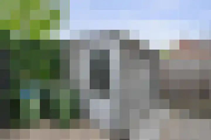 Joop Moesmanpad 7 Rotterdam thumbnail 27