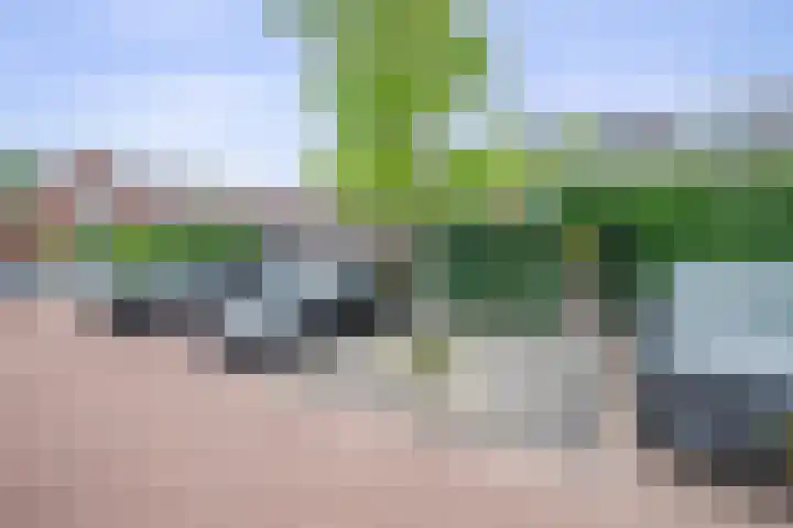 Joop Moesmanpad 7 Rotterdam thumbnail 28