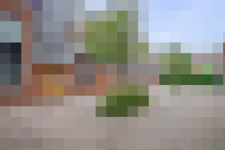 Joop Moesmanpad 7 Rotterdam thumbnail 32