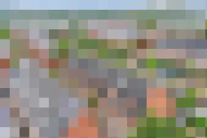 Joop Moesmanpad 7 Rotterdam thumbnail 34