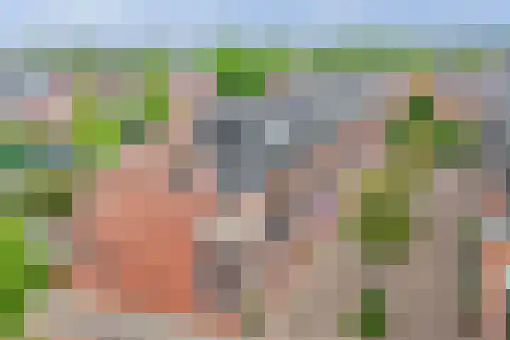 Joop Moesmanpad 7 Rotterdam thumbnail 35