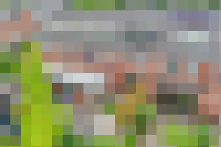 Joop Moesmanpad 7 Rotterdam thumbnail 36